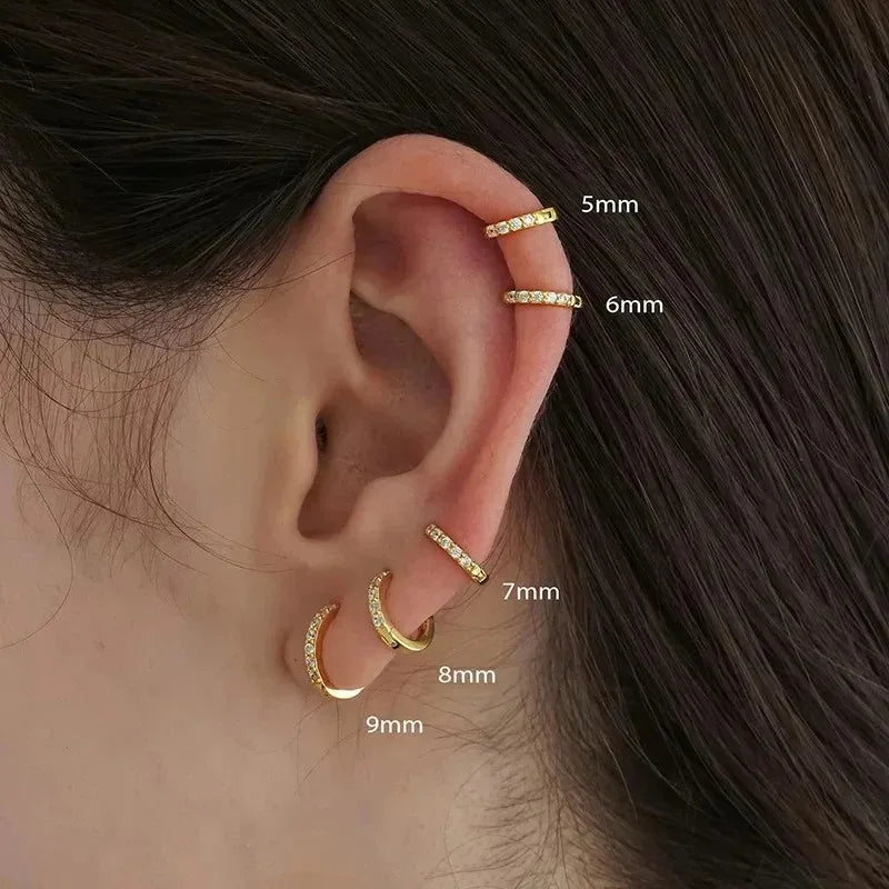 Sparkling Earrings