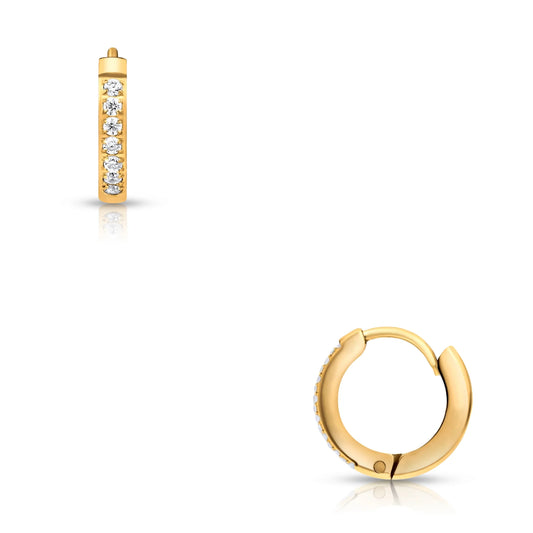 Sparkling Earrings